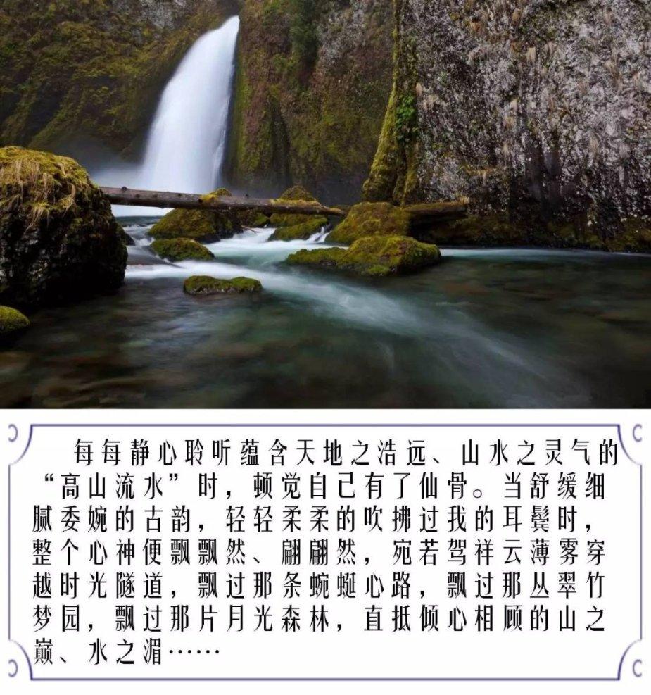 妙鸭相机app下载官网